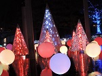 botanical garden christmas lights trees